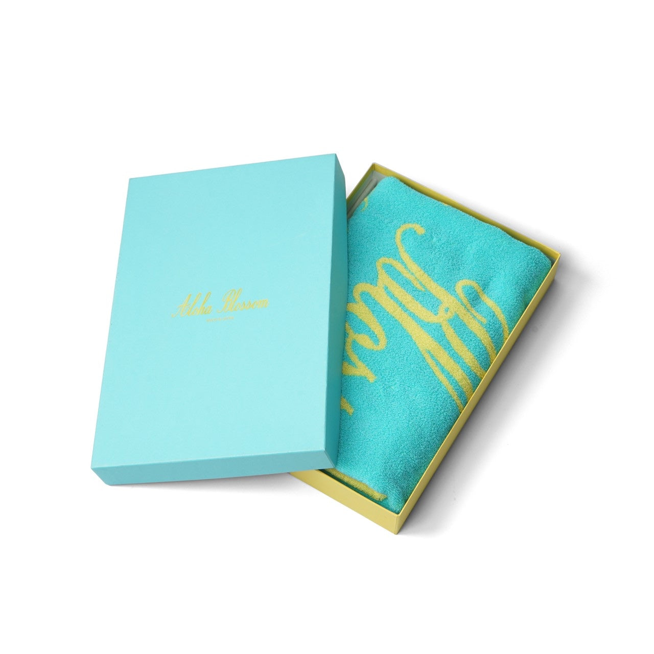 LOGO BEACH TOWL BLUE